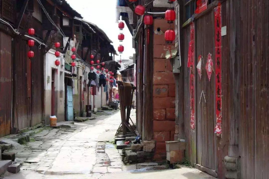 拯救可爱袋鼠
